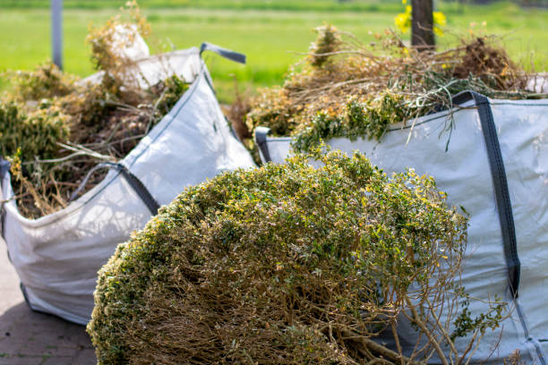 Best Estate Cleanout Services  in Warrior, AL